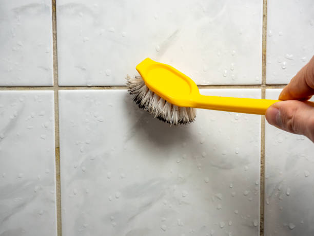Best Black Mold Removal  in Goldthwaite, TX