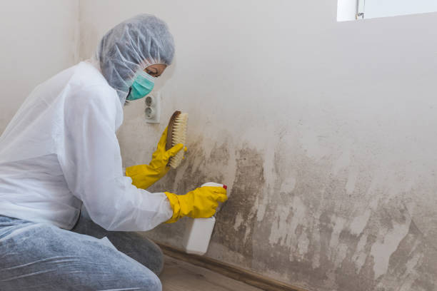 Crawl Space Mold Removal in Goldthwaite, TX