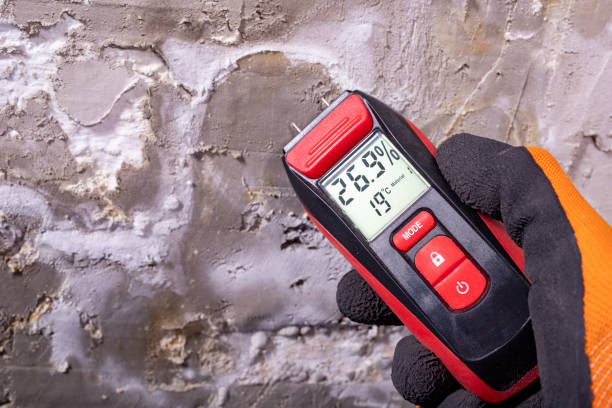 Best Office Mold Removal Services  in Goldthwaite, TX