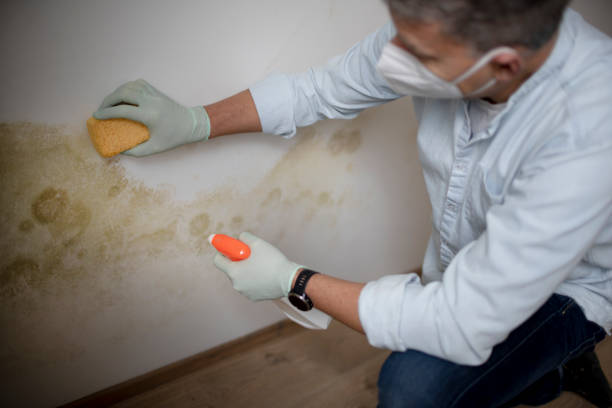 Best Mold Testing  in Goldthwaite, TX