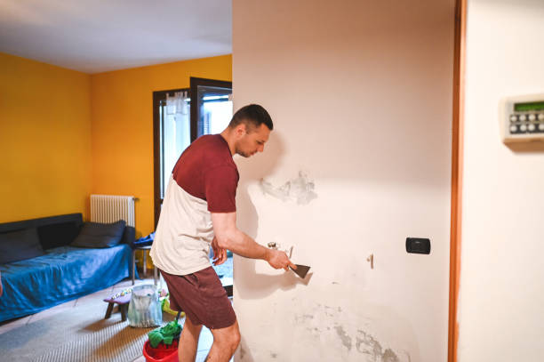 Best Mold Cleaning Services  in Goldthwaite, TX