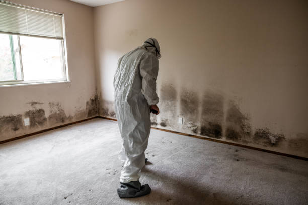 Best Mold Testing  in Goldthwaite, TX