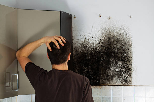 Best Certified Mold Removal  in Goldthwaite, TX